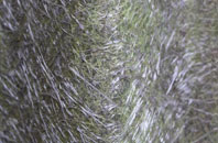 Badersfield fibreglass roof work